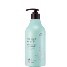 Бальзам-ополаскиватель с кактусом Jeju Prickly Pear Hair Conditioner