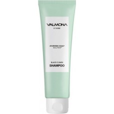 Шампунь для волос с комплексом целебных трав Valmona Ayurvedic Scalp Solution Black Cumin Shampoo