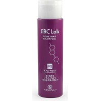 Увлажняющий шампунь для сухой кожи головы EBC Lab Scalp Moist More than Shampoo